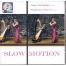 SLOW MOTION - Tamara Coha Mandic - Flauta, Diana Grubisic Cikovi